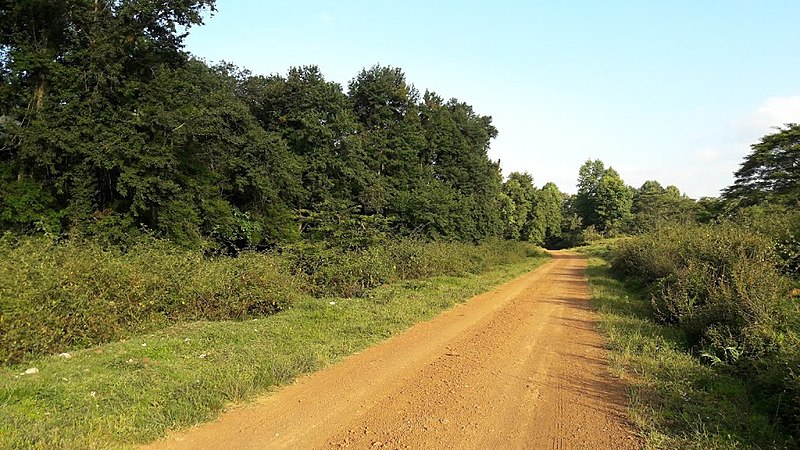 El CPI comenzó a tratar el tema de los caminos rurales